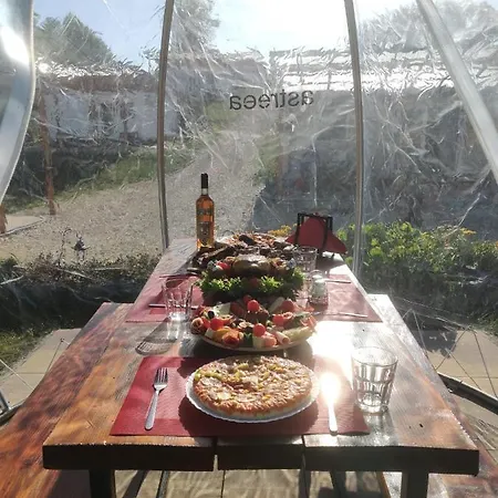 Holiday home Garden Village Retreat Bughea de Sus